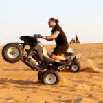 Gallery Thumbnail 0