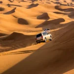 Gallery Thumbnail 2